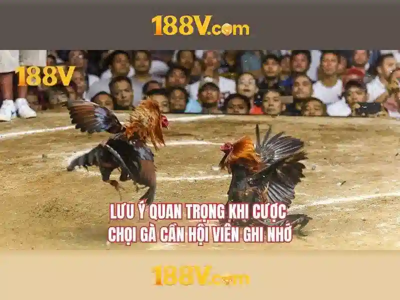 Kết luận