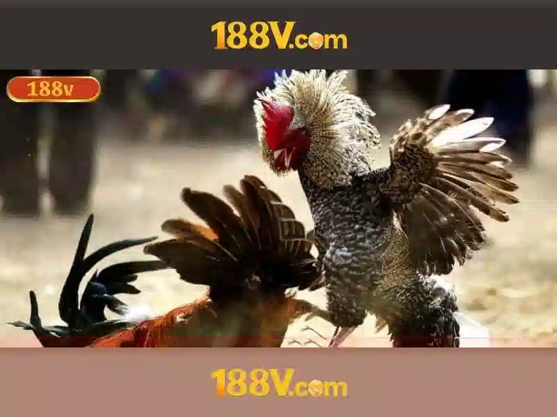 Tóm lược và lời mời trải nghiệm