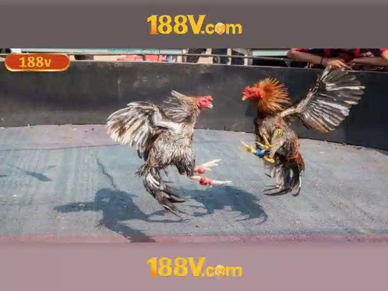 Mẹo chơi bắn cá 3 cây dễ ăn tiền nhà cái