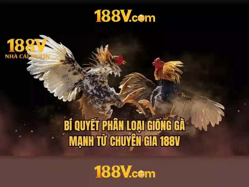 Nguồn gốc và ý nghĩa của 188v