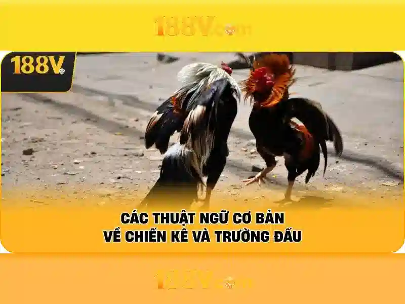 Tính chất và đặc trưng 188V