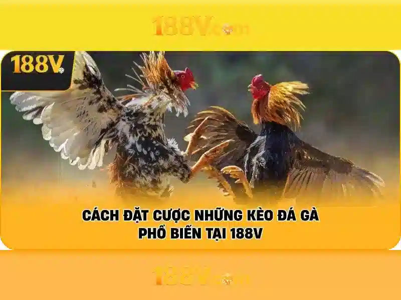 Mẹo chơi bắn cá 3 cây dễ ăn tiền nhà cái