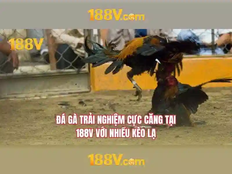 Mẹo chơi bắn cá 3 cây dễ ăn tiền nhà cái