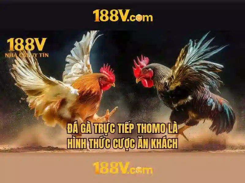 Mẹo chơi bắn cá 3 cây dễ ăn tiền nhà cái