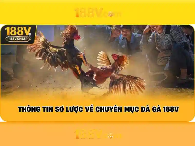 Khám phá 188v