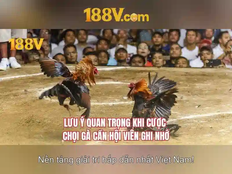 Âm thanh và ánh sáng của 188v