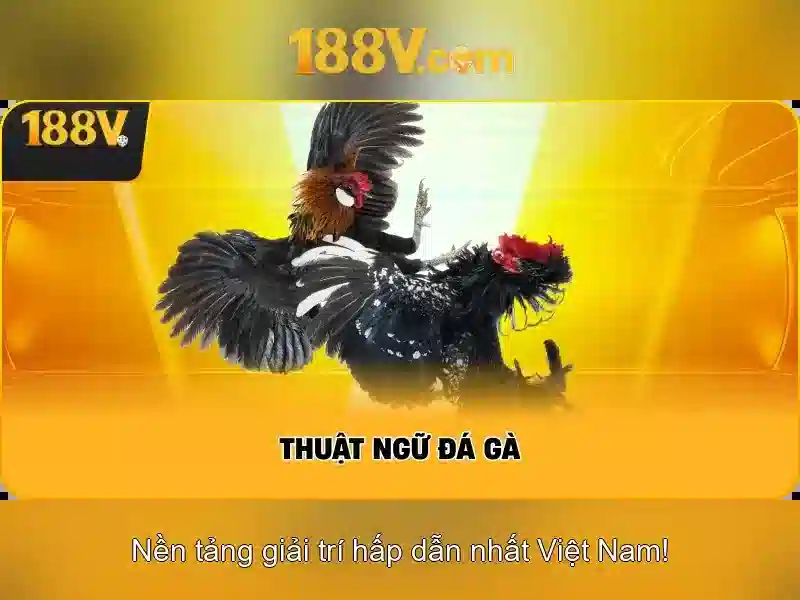 Khái niệm 188V và nguồn gốc của con số