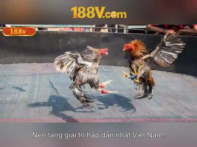 188v là một khái niệm số học và ngữ cảnh mô phỏng