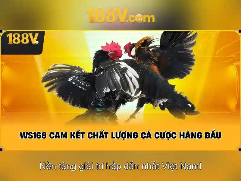 Nguồn gốc và ý nghĩa