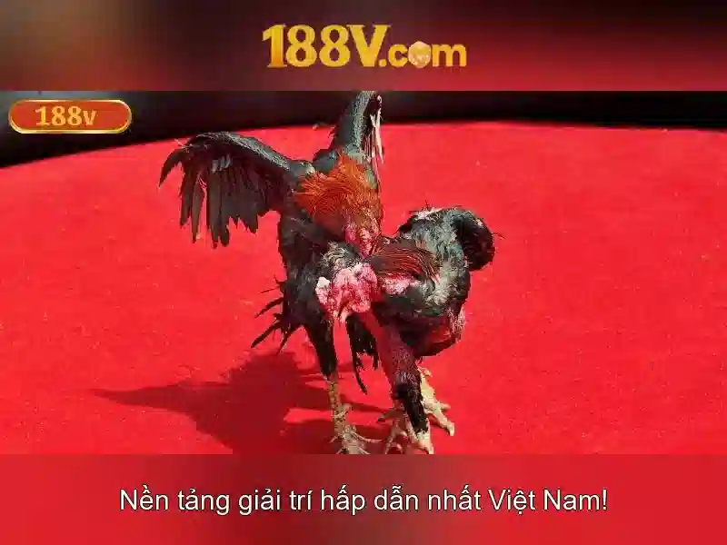 Lịch sử và phát triển của 188v