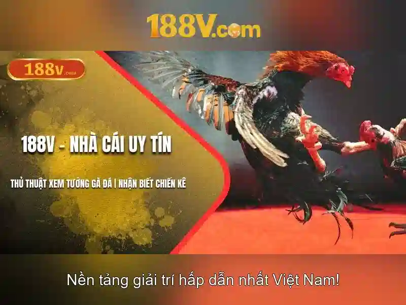 Khía cạnh văn hóa và xã hội của 188v