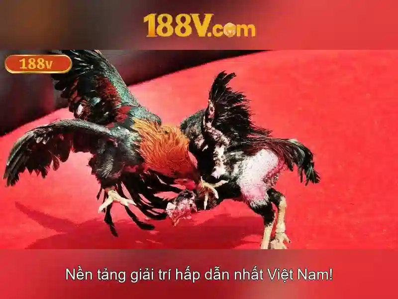 Ý nghĩa trong dữ liệu và số hóa<h2 class=