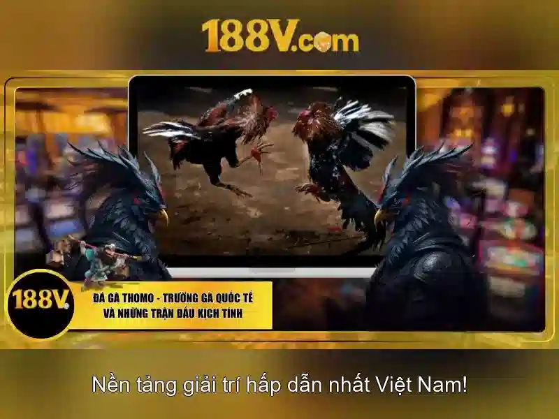 Ảnh hưởng và triển vọng tương lai của 188v