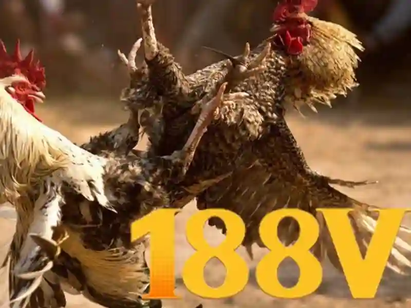 Nguồn gốc và sứ mệnh của ưu đãi 188v