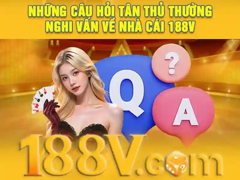 <!--IMG_PLACEHOLDER alt>Phản hồi của người dùng-->