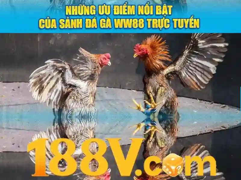 Mẹo chơi bắn cá 3 cây dễ ăn tiền nhà cái