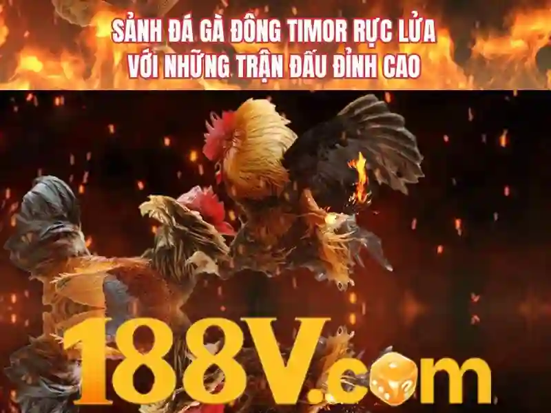 Khởi nguồn và sứ mệnh của code 188v mới nhất